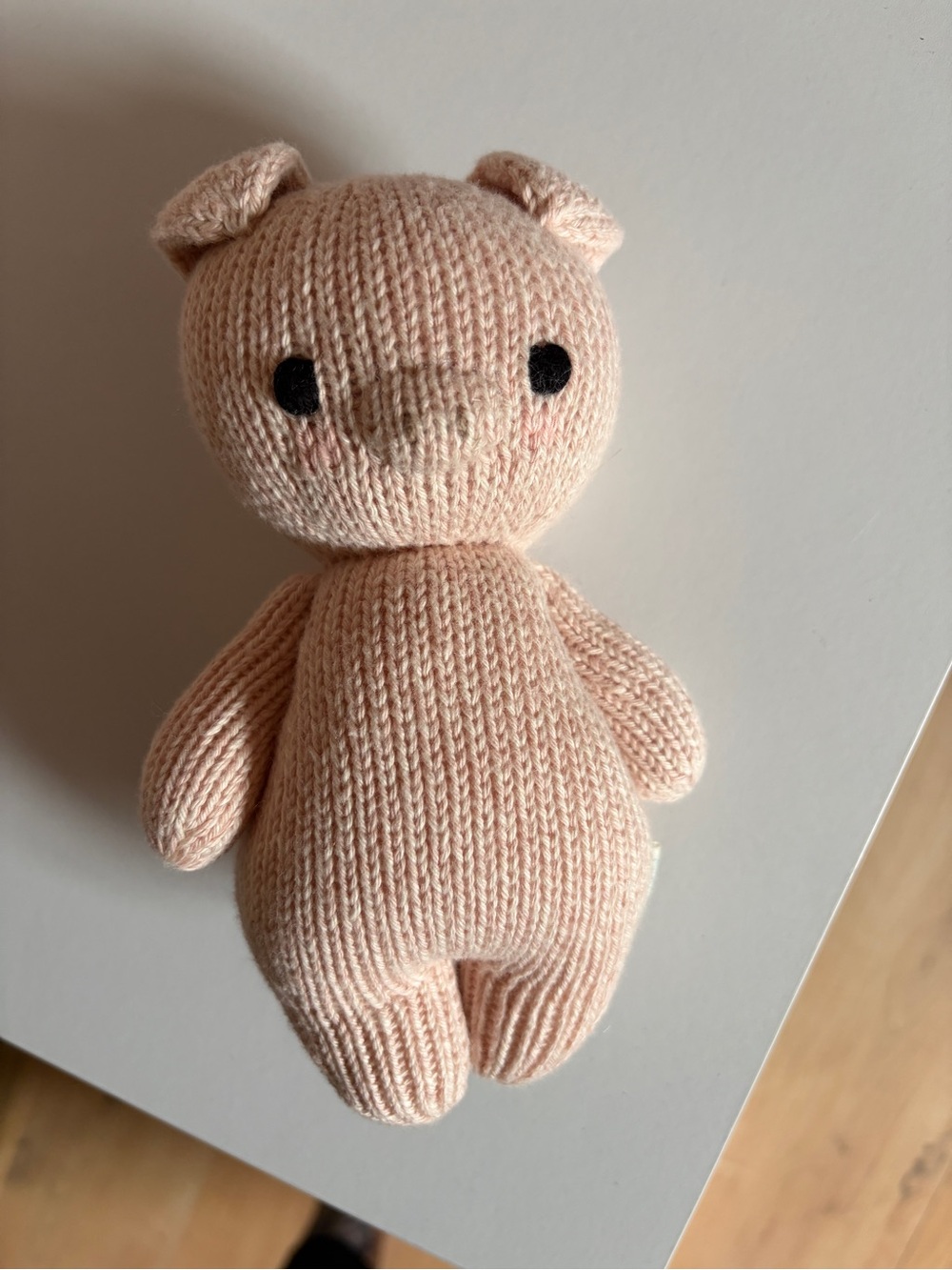 Cuddle and Kind brand baby piglet
